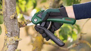 Сікатор акамуляторний BOSCH EasyPrune 06008B2102