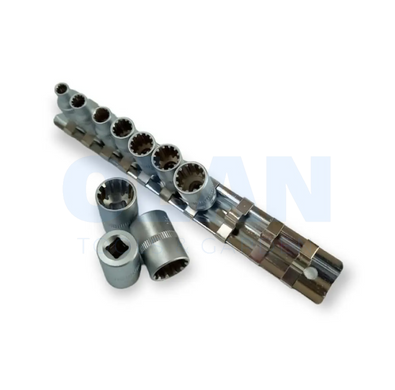 Набір універсальних головок SPLINE 1/2" 10 од. CR-V SATINE Haisser 70192