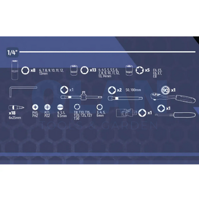 Набір інструментів професійний 1/4" та 1/2" 108 од. Haisser BLACK 70255