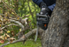 Аккумуляторна пилка Husqvarna Aspire C15X-P4A KIT, з АКБ і ЗП (9707205-04) - 3